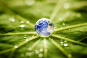 Small marble coloured as planet Earth on a leaf / © iStockPhoto