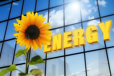 Lettering "Energy" and a sunflower
